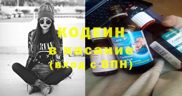 прущие грибы Каменногорск