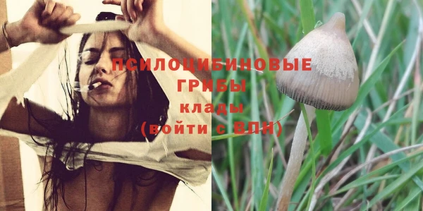 герыч Инсар