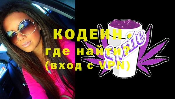 прущие грибы Каменногорск