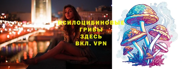 герыч Инсар